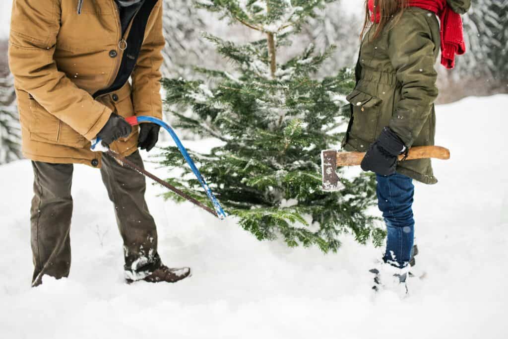 Bundle up for the 9 best cut-your-own tree farms in Virginia