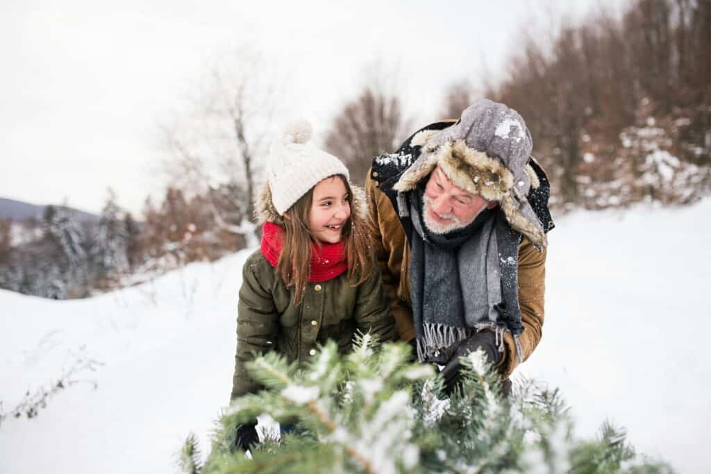 14 best cut-your-own tree farms in New Hampshire