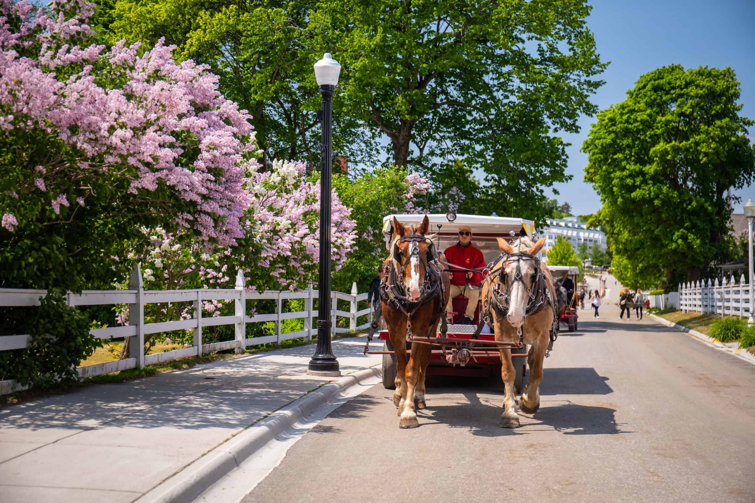 The 19 most exciting spring & summer festivals in Michigan