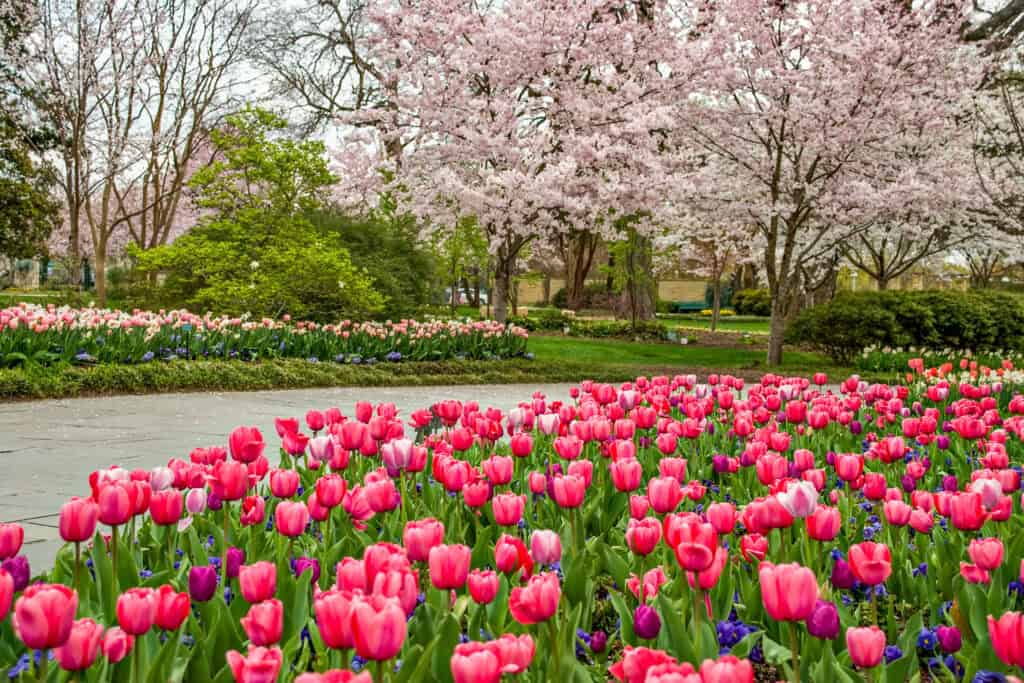 Fun awaits at these 10 spring & summer festivals in DFW