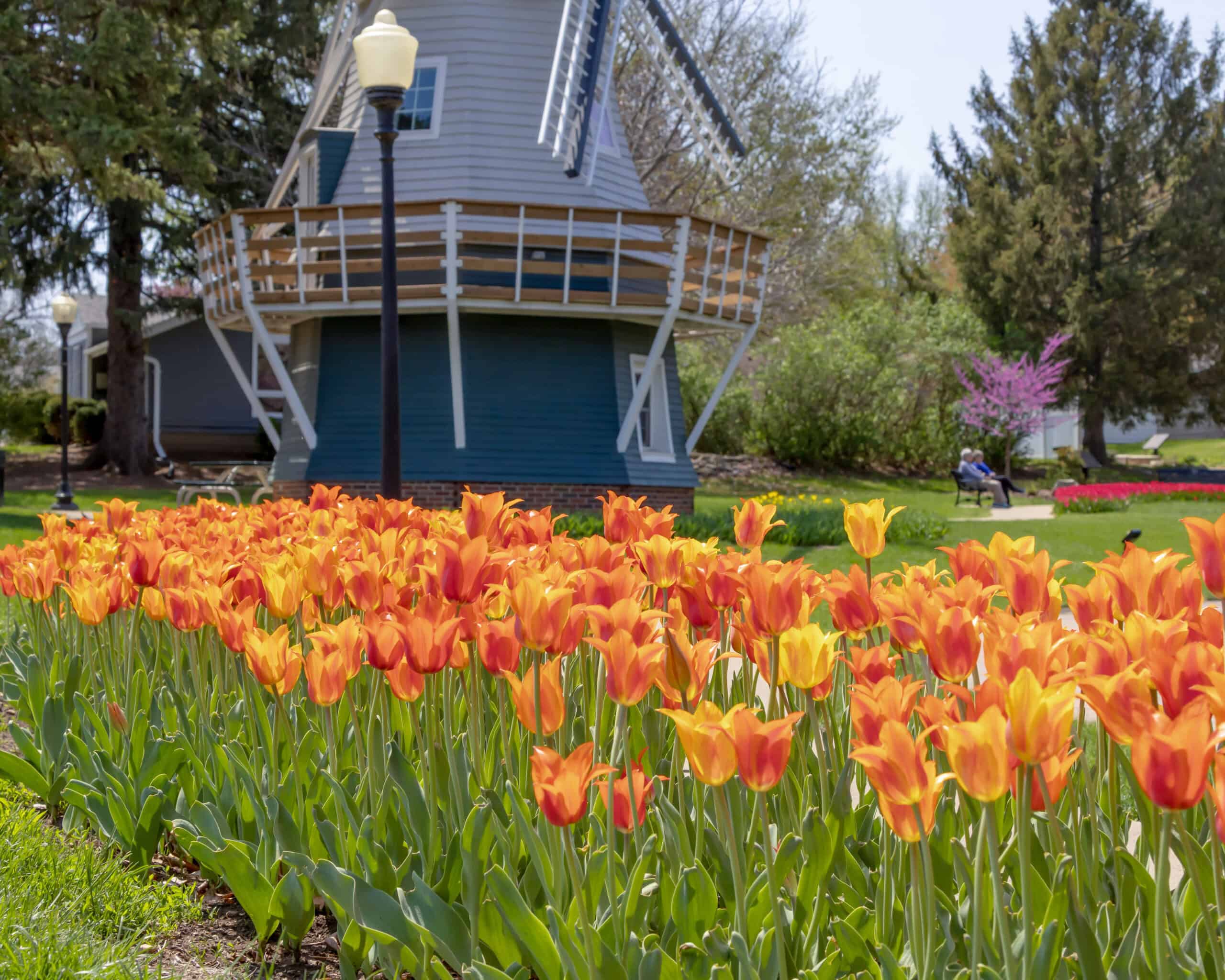 11 best spring & summer festivals in Iowa