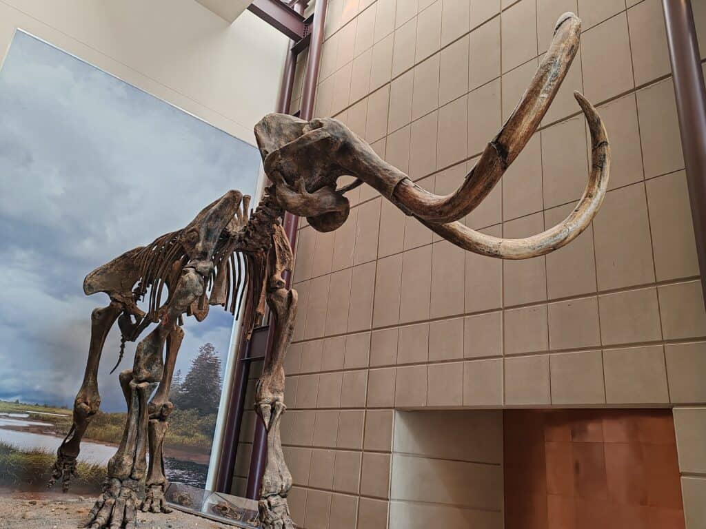 11 astonishing facts about Wisconsin you don't know