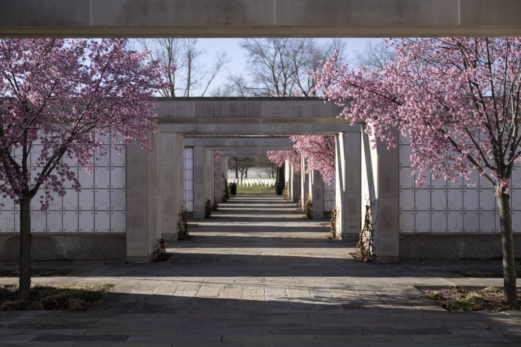 The 10 best places to see cherry blossoms in Virginia