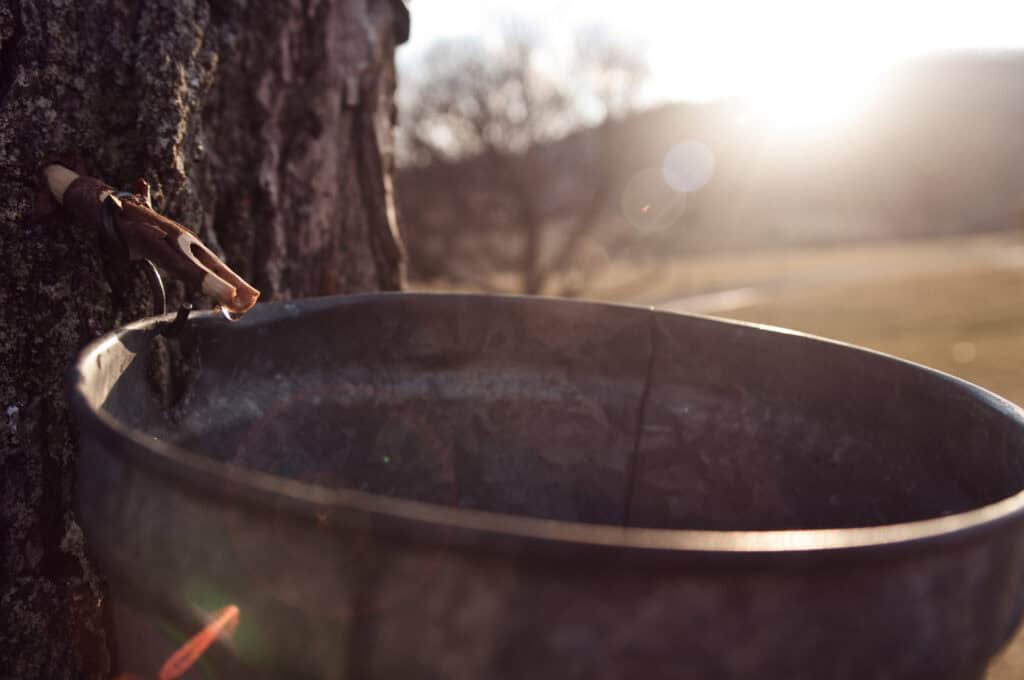 Plan a sweet March getaway in the mountains of Monterey. VA