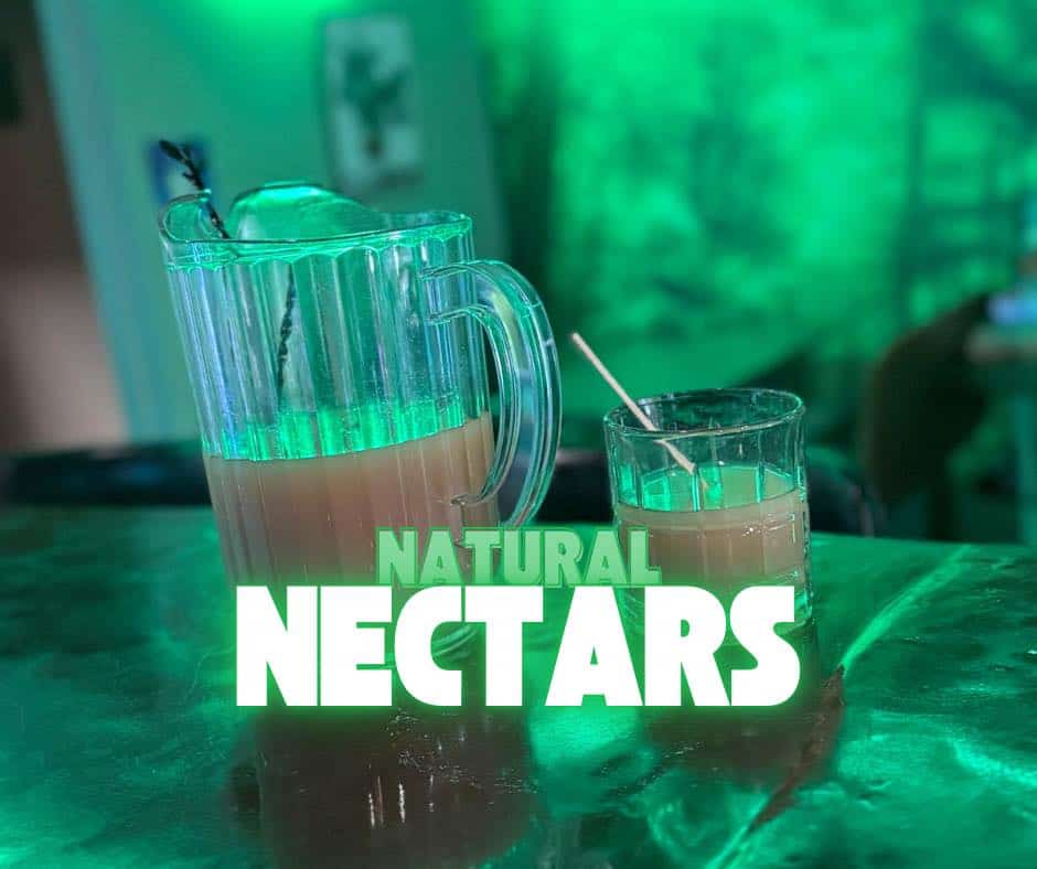 All about kava: what it is & where to sip it in Iowa