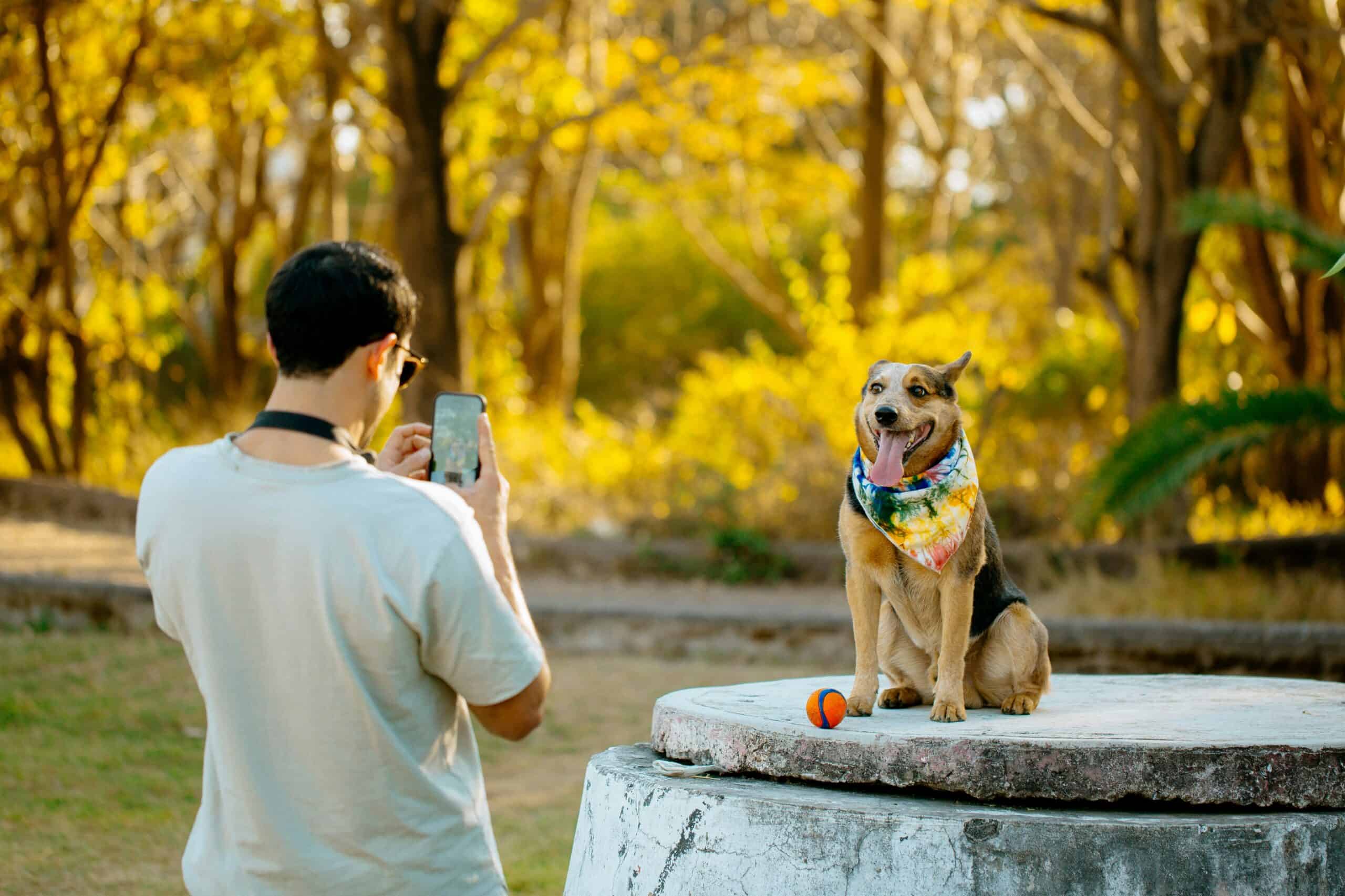 8 best dog parks in Charlotte, according to local pet lovers