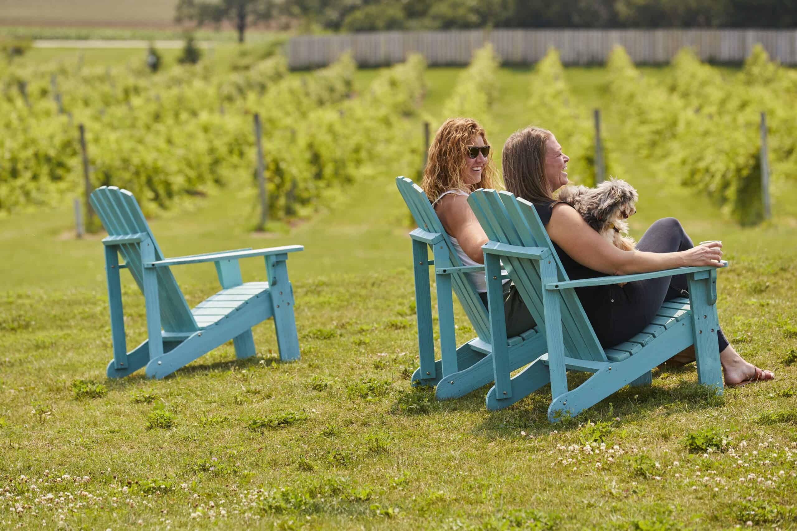 12 dog-friendly spots in Door County, from breweries to a beachfront inn