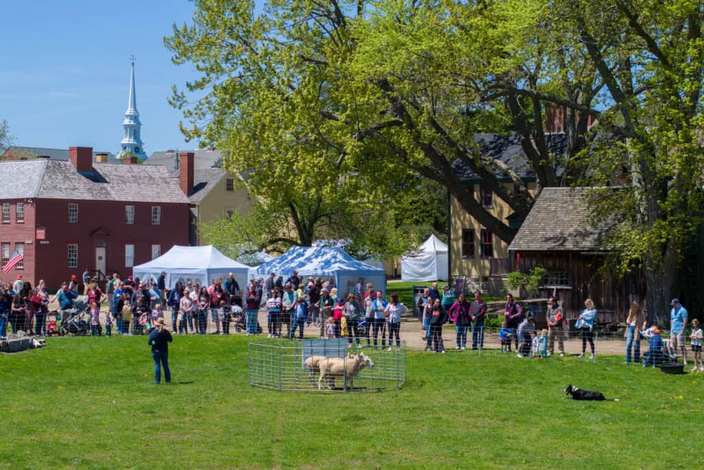 Don't miss these 7 spring festivals in New Hampshire