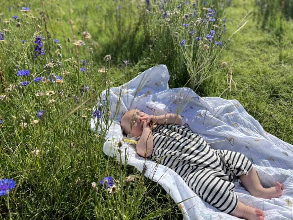 Head to these 7 spots in DFW to see breathtaking bluebonnets