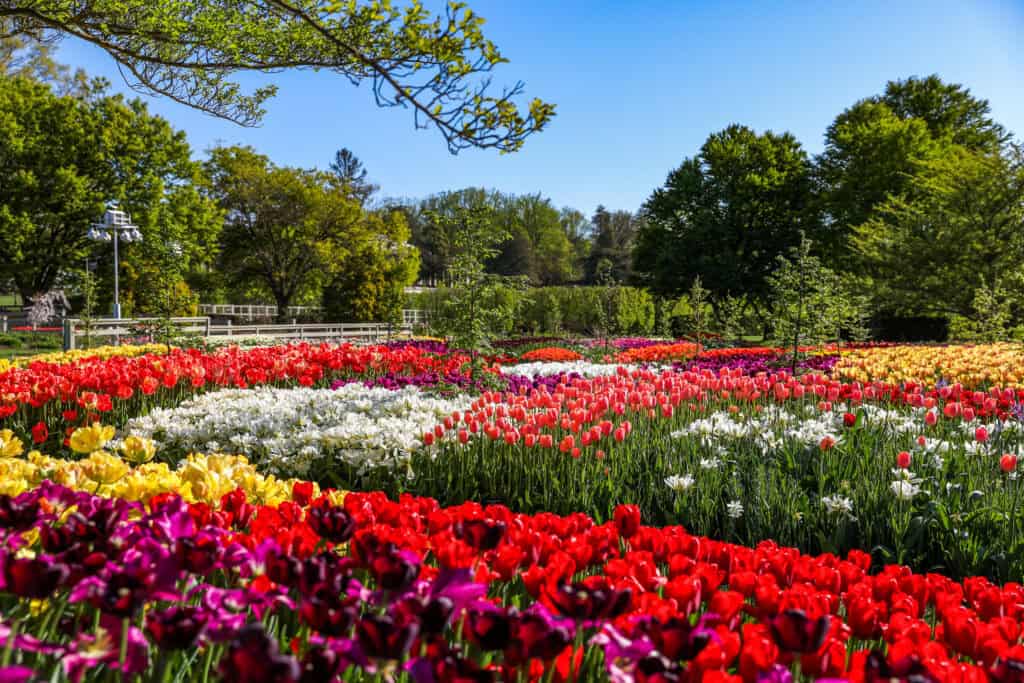 Spring events in Pennsylvania that are worth traveling to