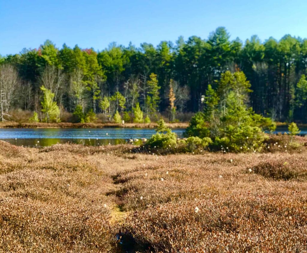 6 places in New Hampshire that feel like a portal to another world