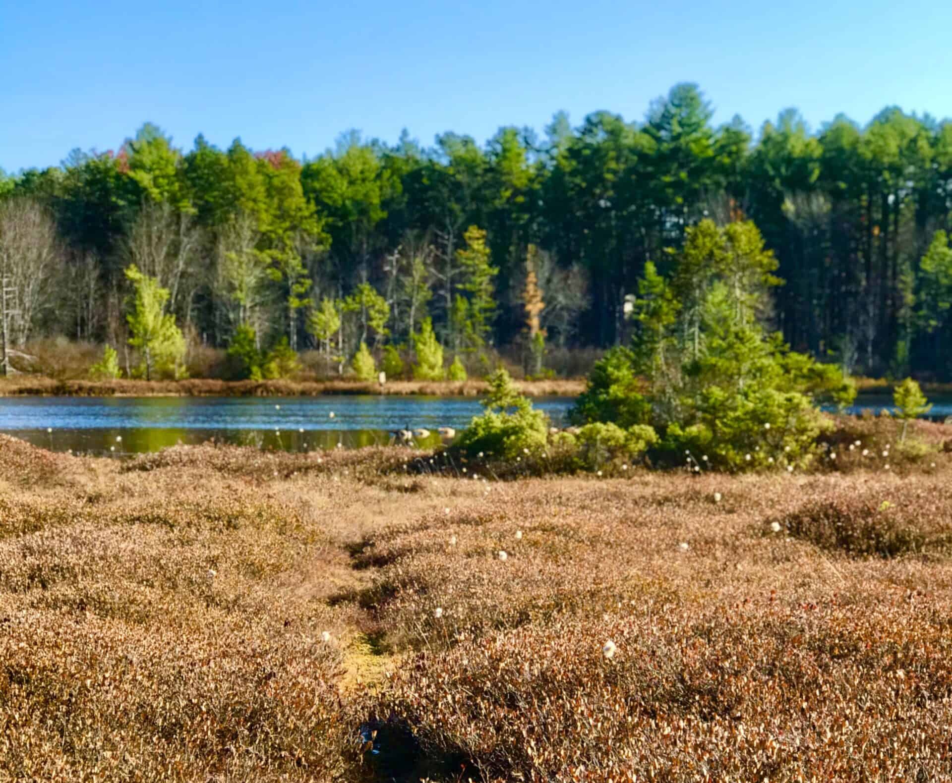 6 places in New Hampshire that feel like a portal to another world