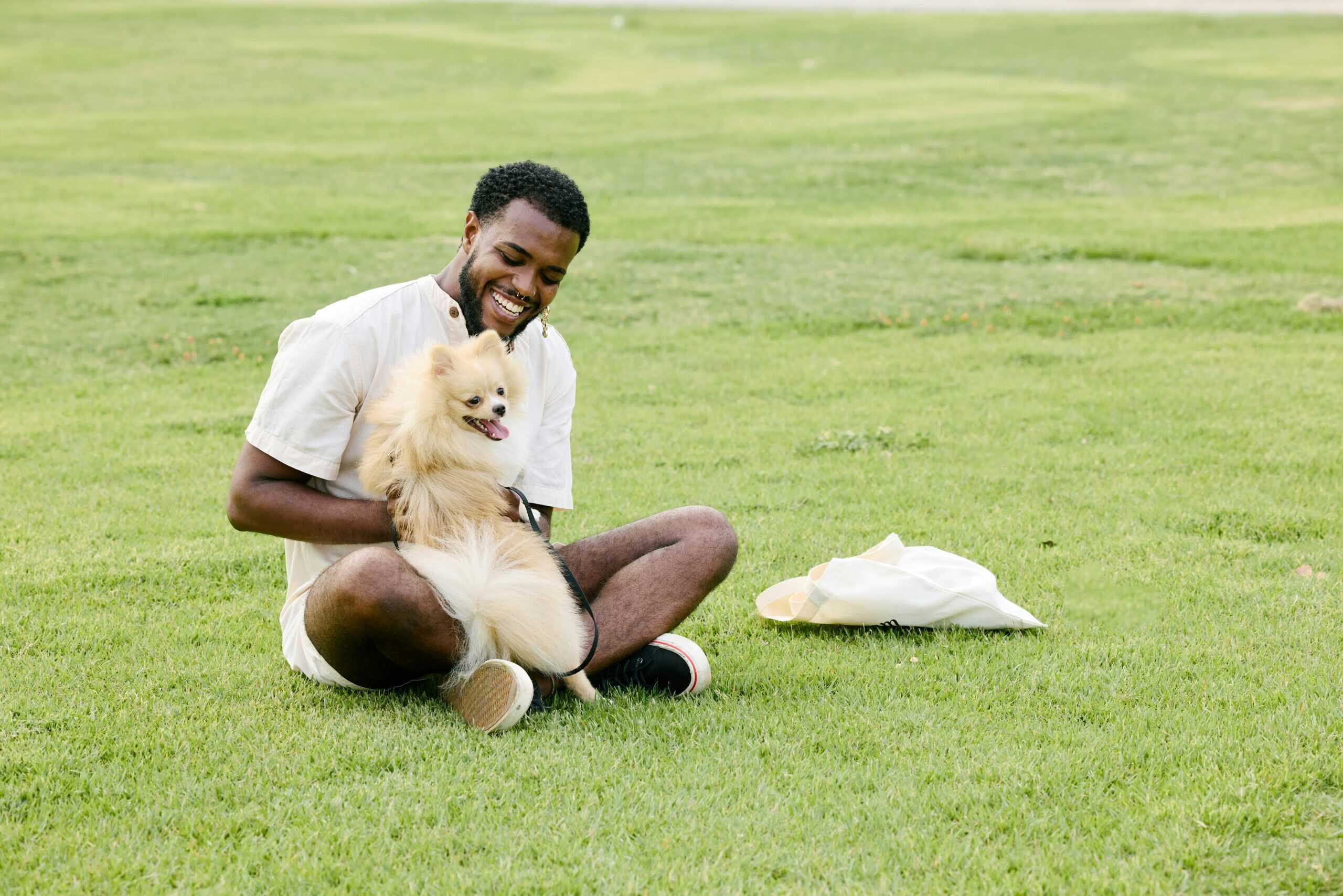 7 of the best dog parks in Milwaukee (+ dog-friendly beer gardens!)