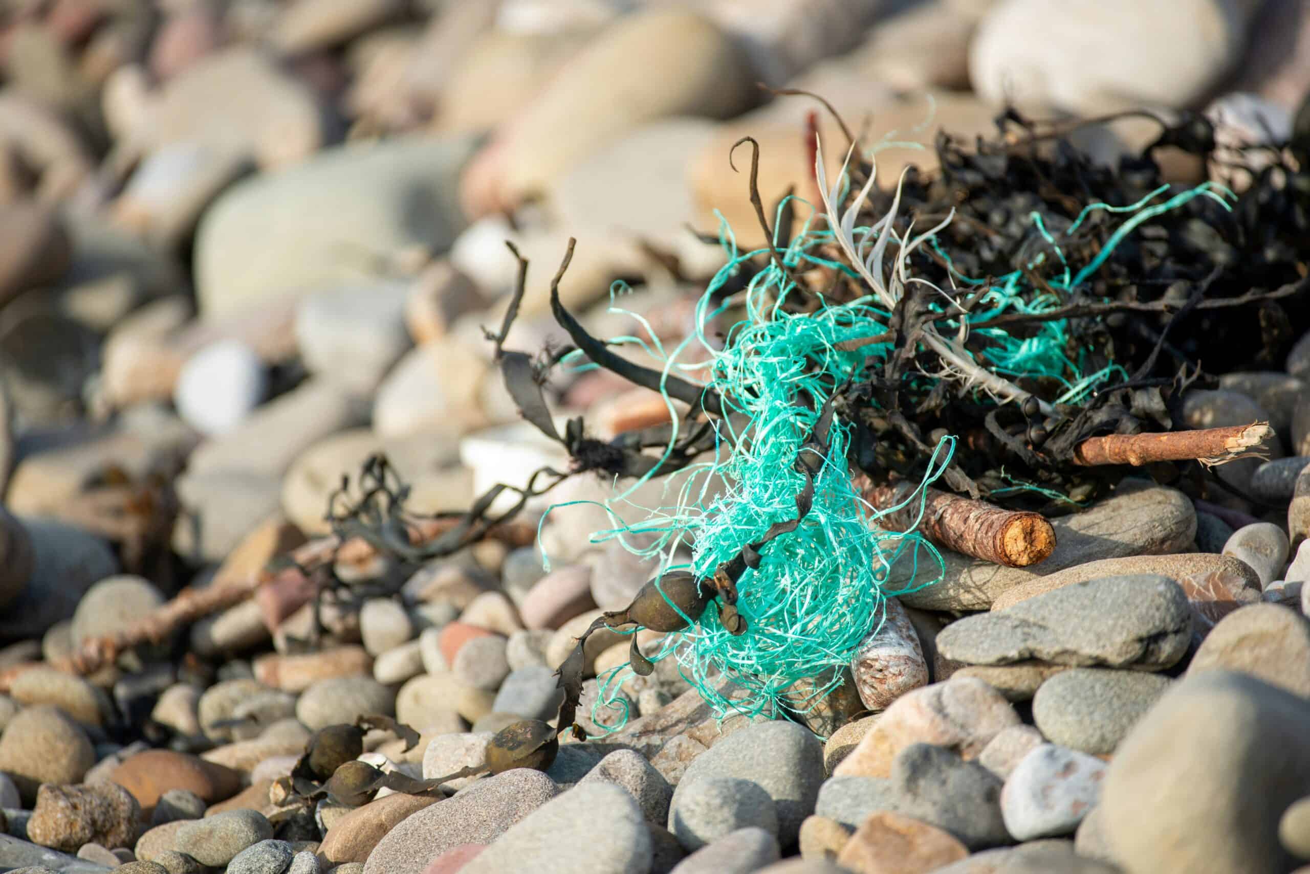 Abandoned fishing gear poses silent threat to marine life along Texas coast