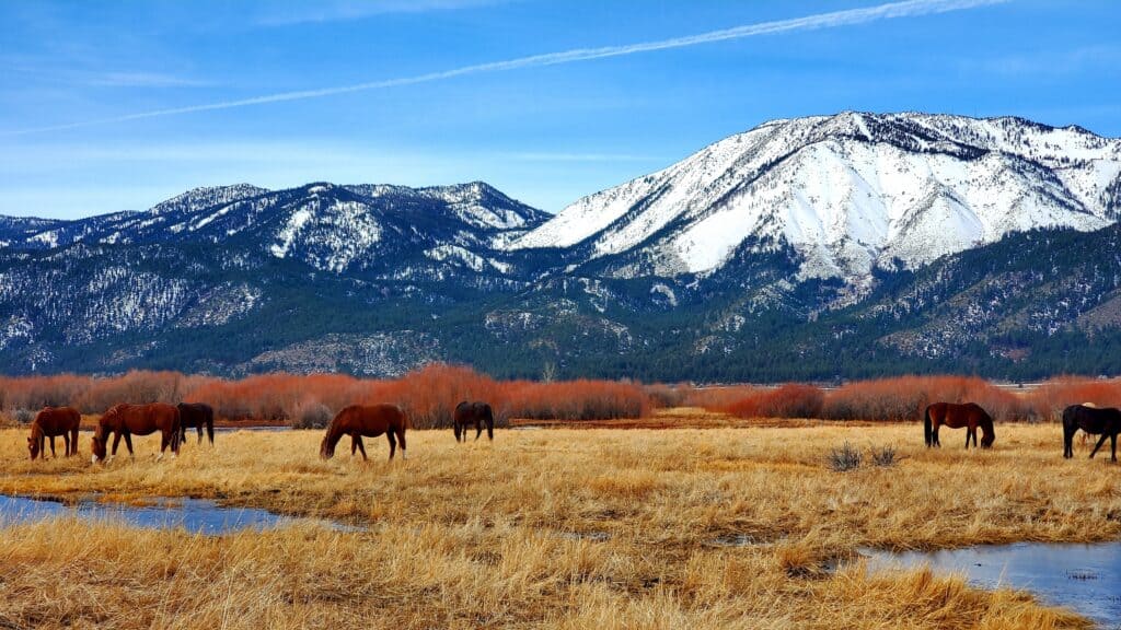 Nevada’s Spanish place names & the stories behind them