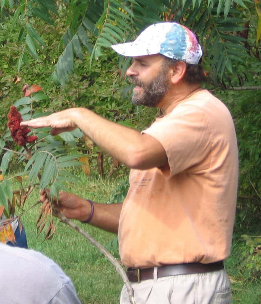 Why New Hampshire is a forager's paradise
