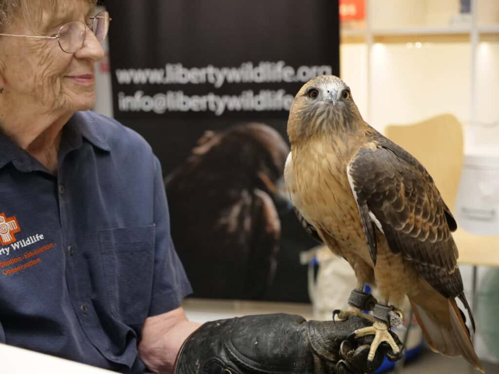 A live animal workshop at Rio Community Festival Danny Roper Jones Audubon Southwest x