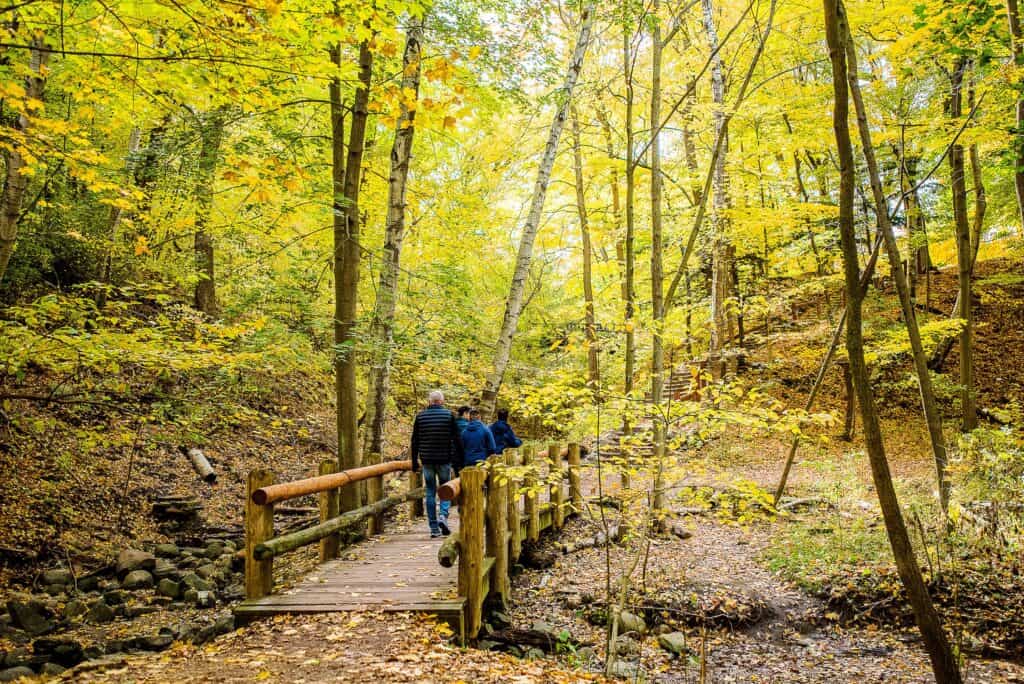 These 7 spring hikes in Wisconsin offer breathtaking views