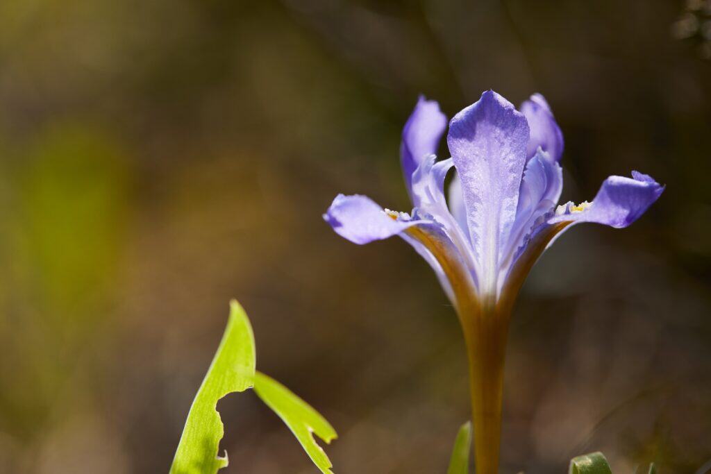 These 7 spring hikes in Wisconsin offer breathtaking views