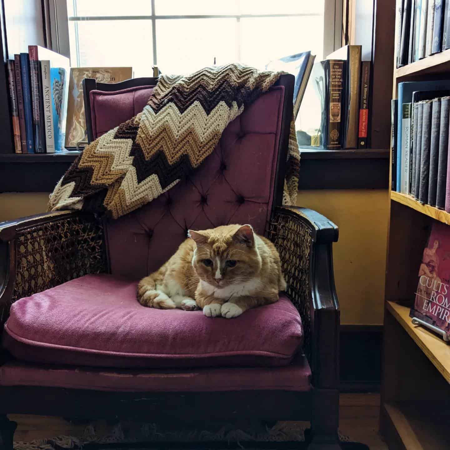 10 queer-friendly spaces to feel safer in Iowa