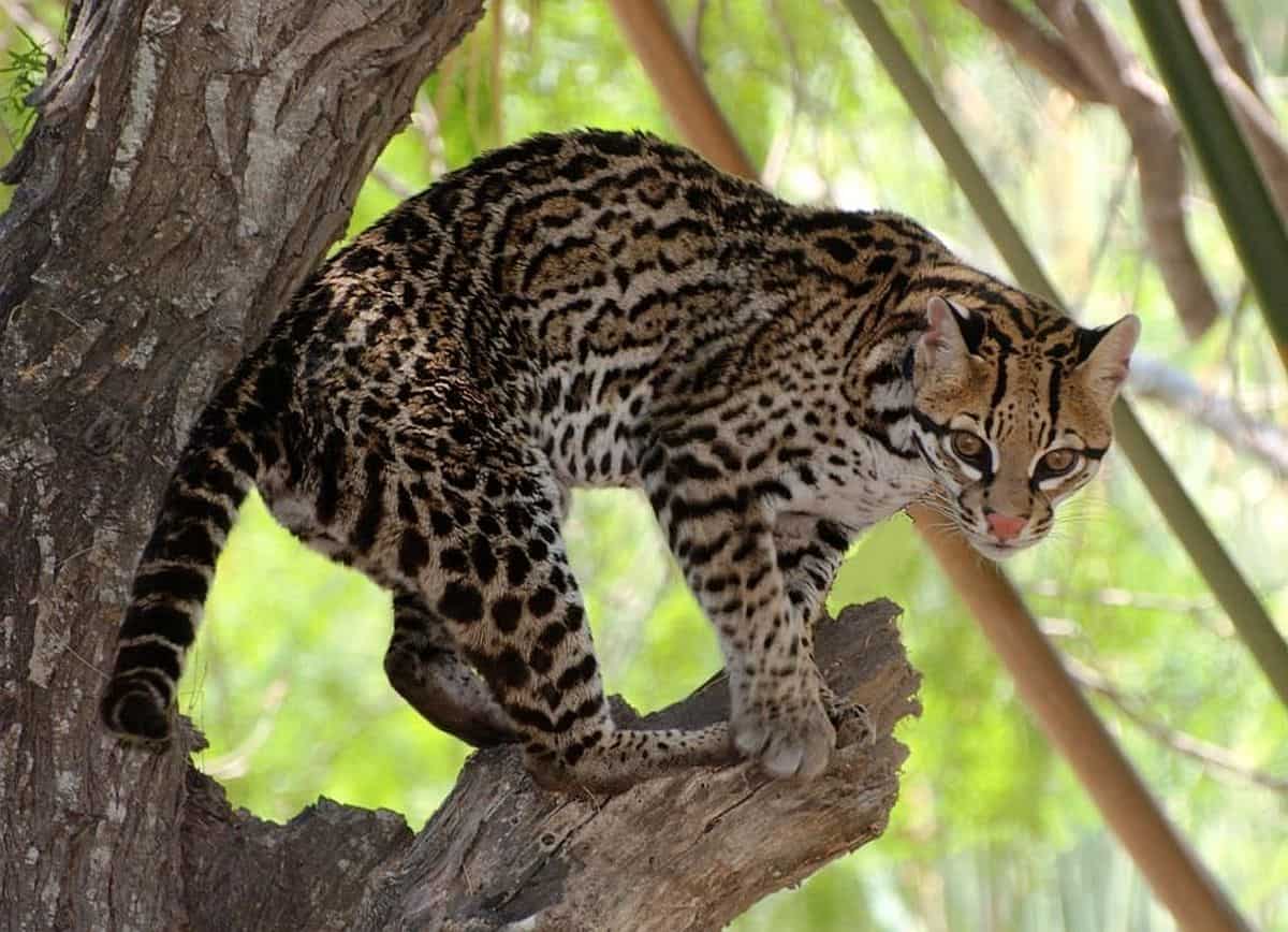 6 completely free & totally fun things to do this summer in the Rio Grande Valley