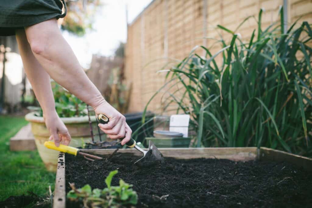 When to start gardening in Wisconsin (& what to plant first)