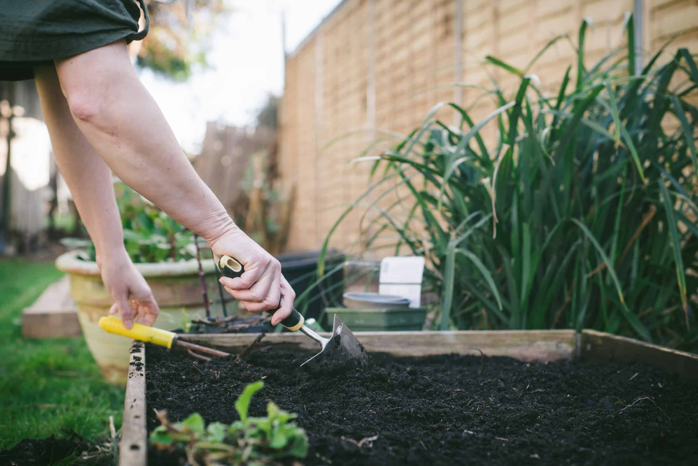 When to start gardening in Wisconsin (& what to plant first)