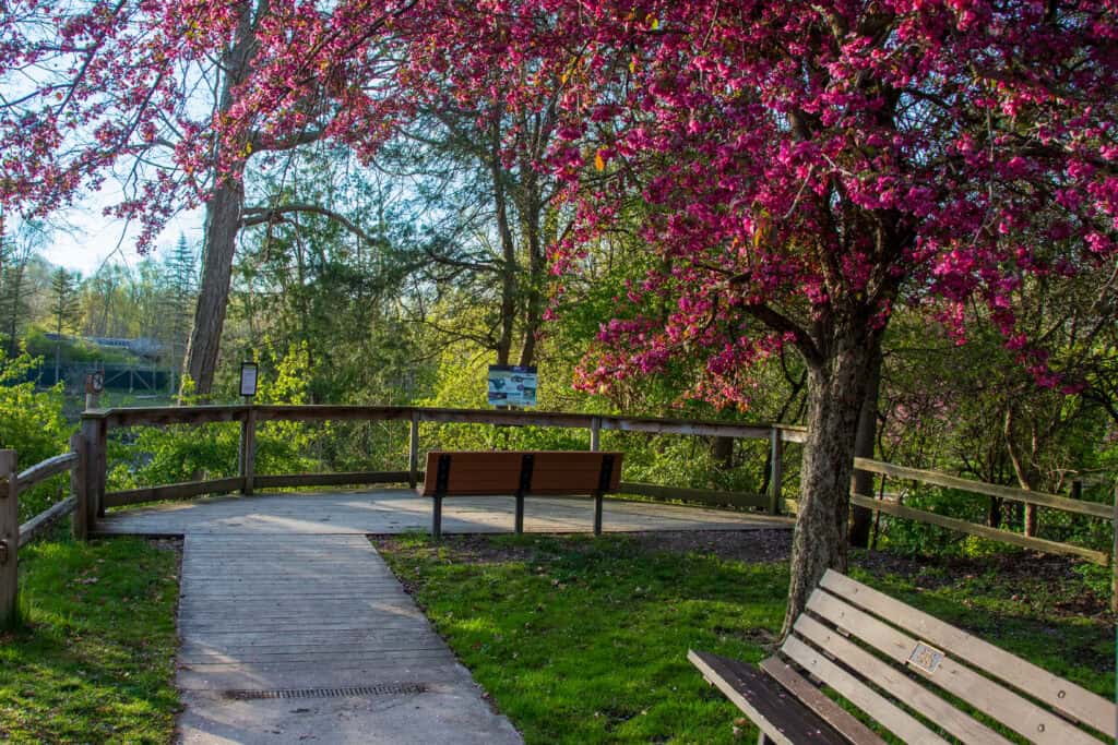 22 things to do in Lansing that are off the beaten path