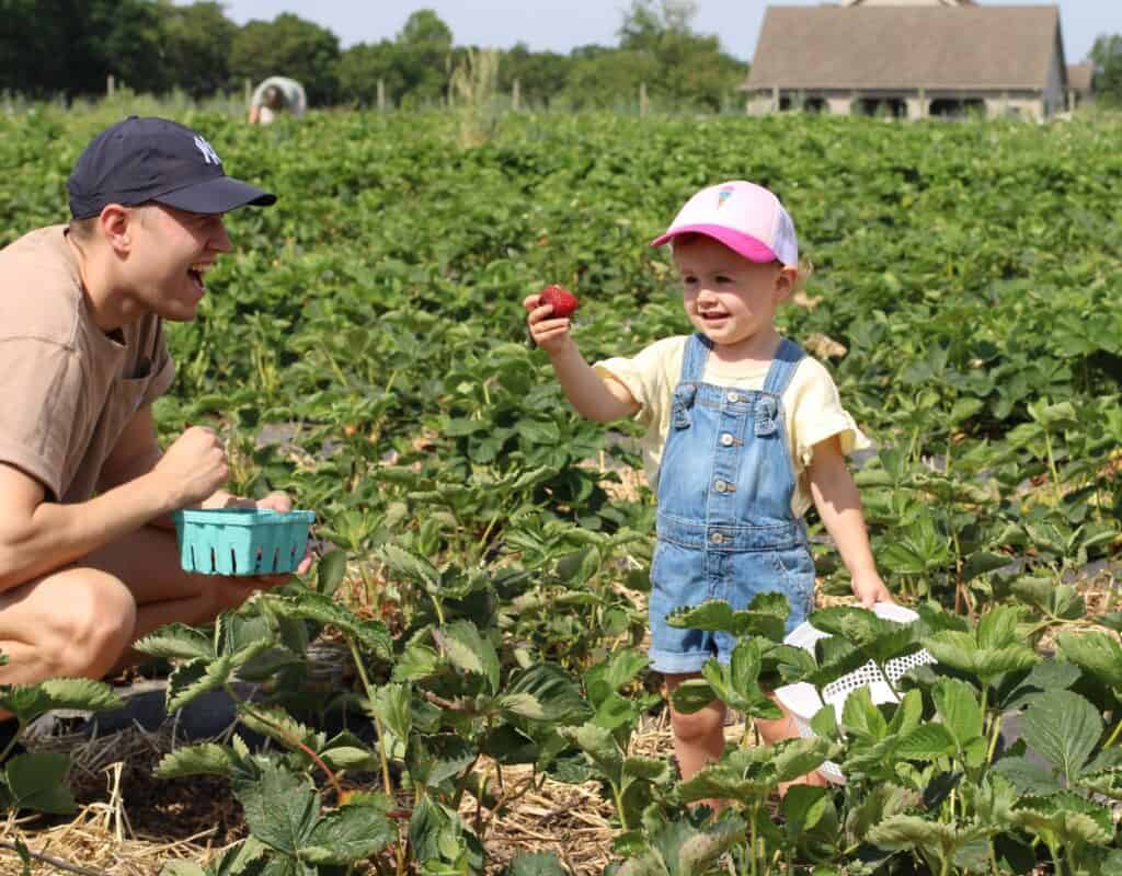 Your 2026 guide to berry picking in Pennsylvania: When & where to find fresh summer fruit