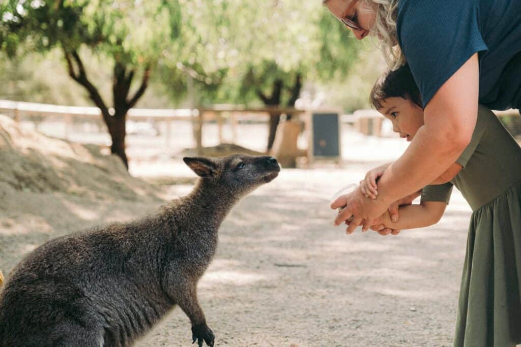 9 exotic animals you won’t believe are legal to own as pets in Colorado 