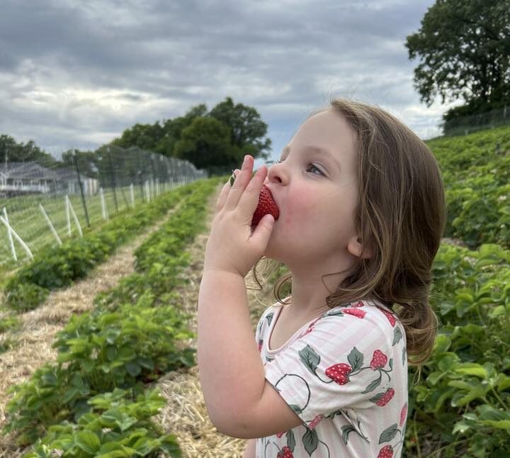 Your 2026 guide to berry picking in Wisconsin
