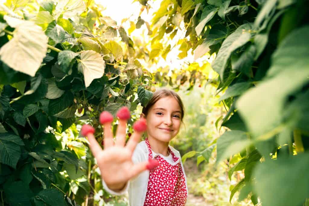 Go berry picking in Iowa at these 6 farms