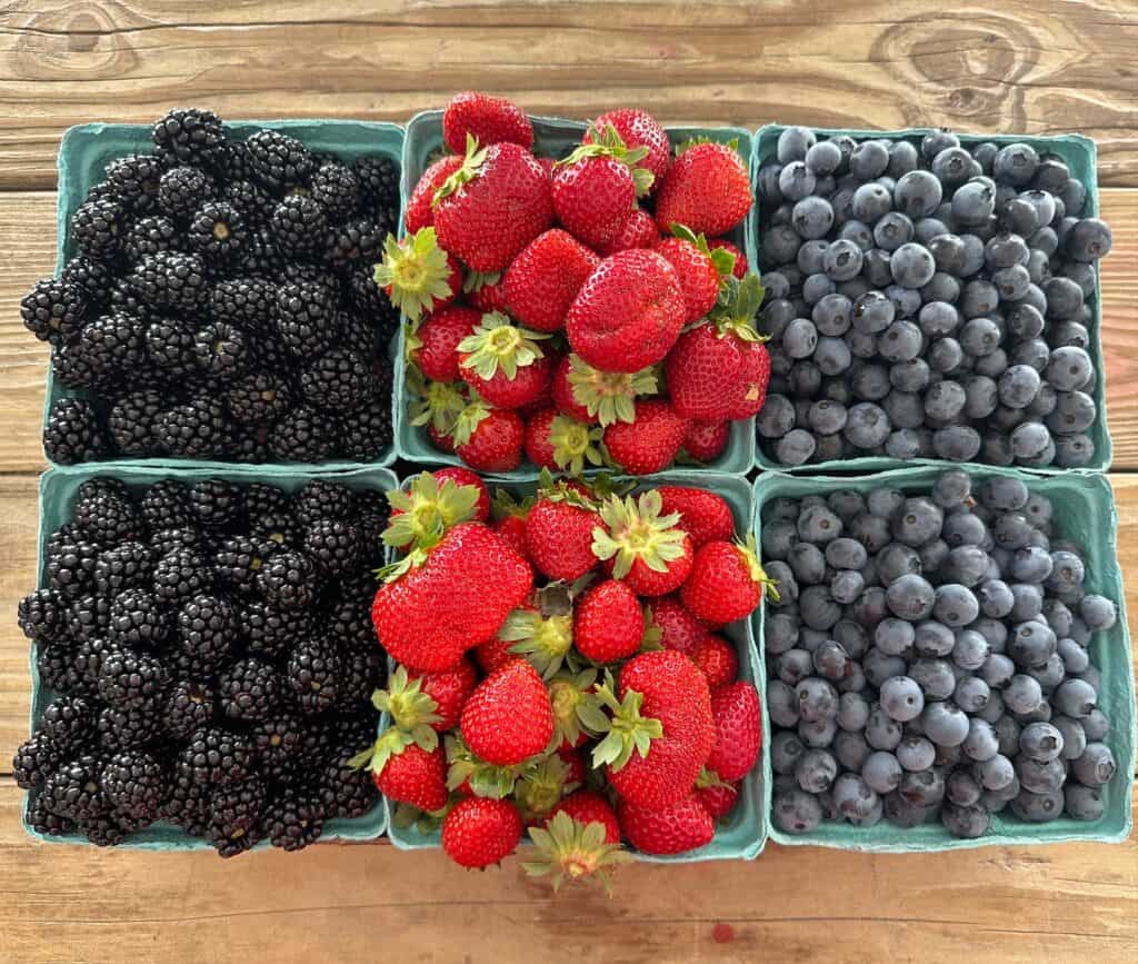 Your 2026 guide to berry picking in North Carolina all summer long