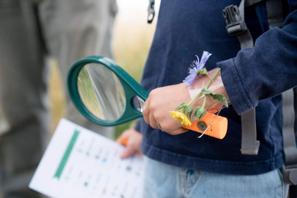 18 free things to do with kids this summer in Iowa