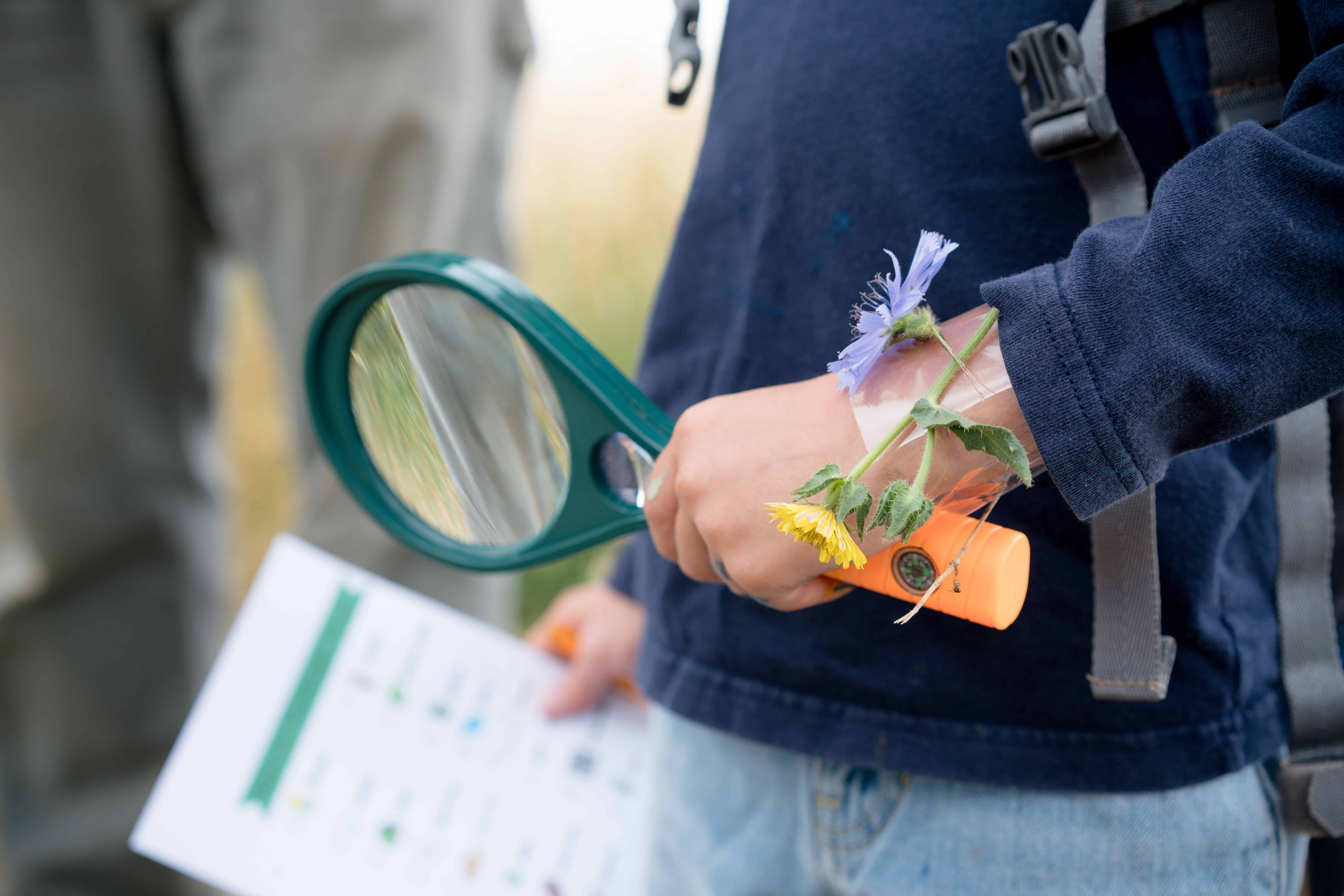 18 free things to do with kids this summer in Iowa