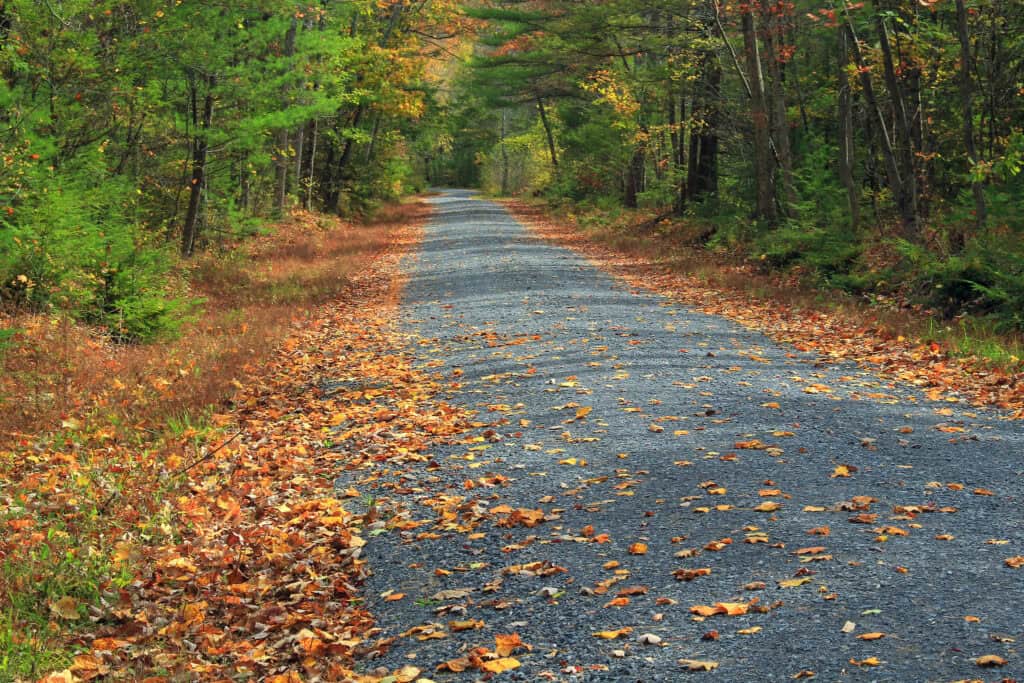 Where to head for scenic dispersed camping in Pennsylvania