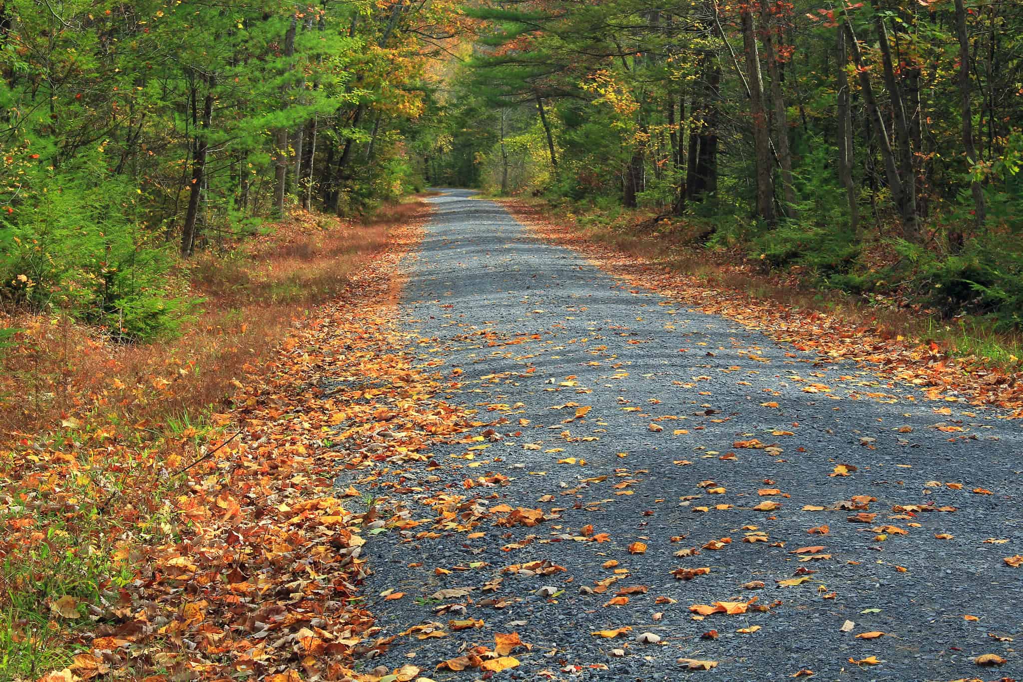 Where to head for scenic dispersed camping in Pennsylvania