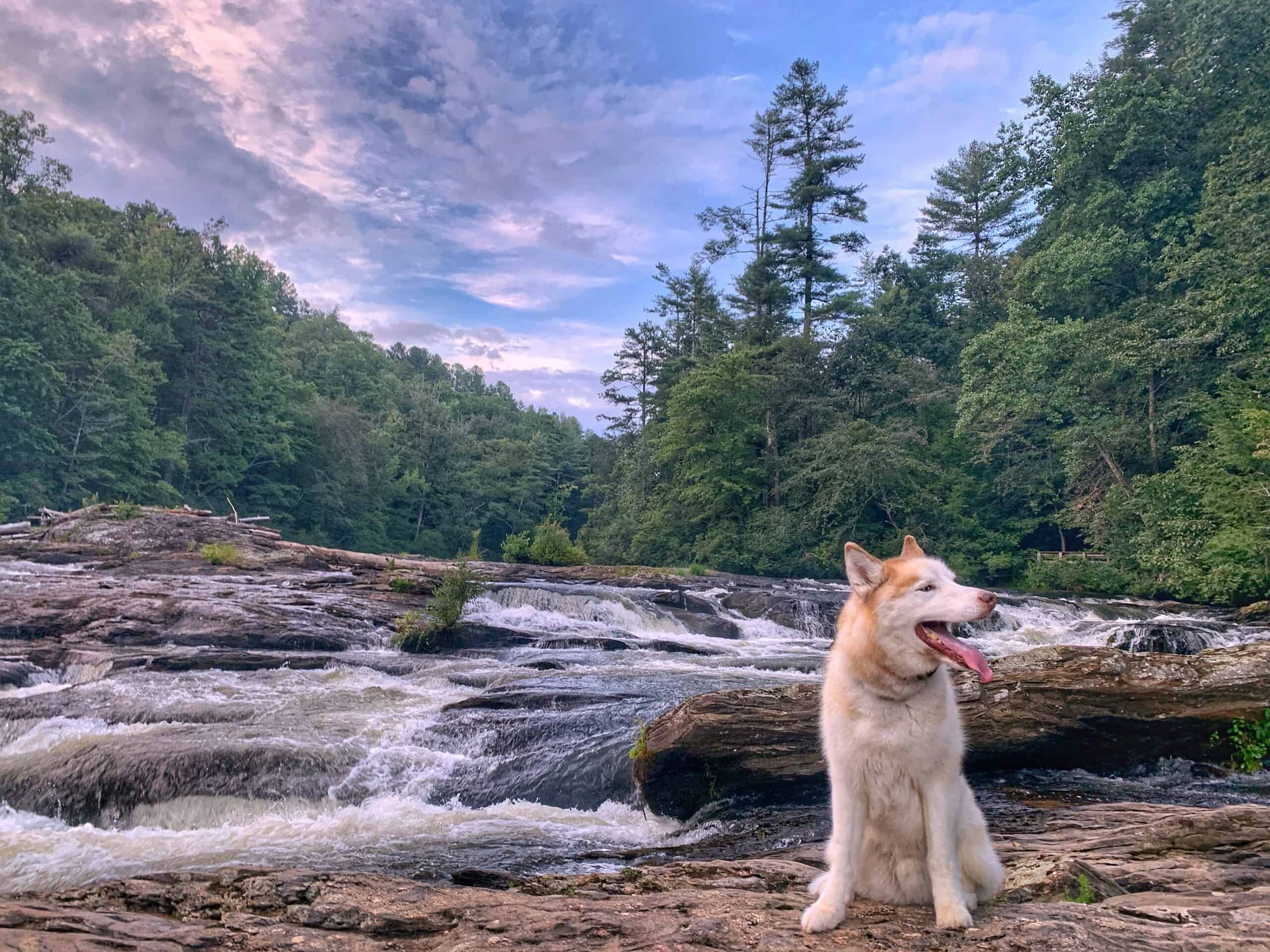 10 waterfalls in Georgia you can actually swim in