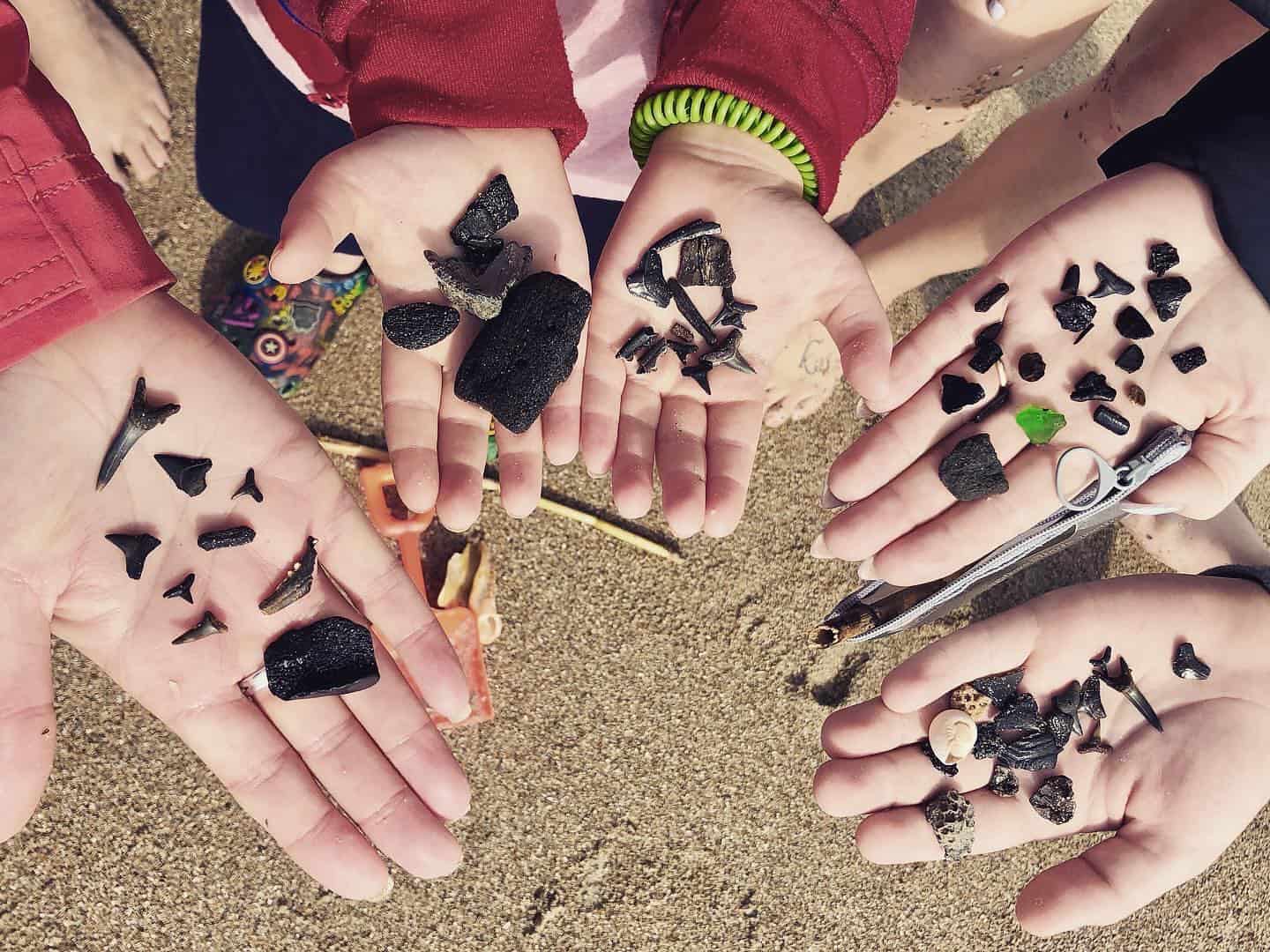 Your guide to rock hunting in Georgia’s mountains, creeks, and coastline