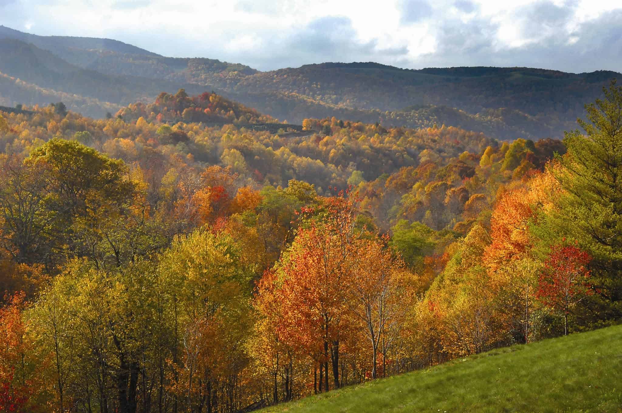 Where to head for the most scenic dispersed camping in Virginia