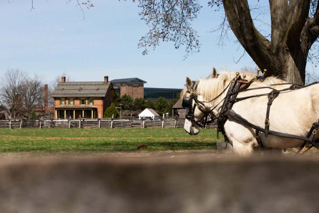 13 last-minute day trips from Lansing to take before school starts