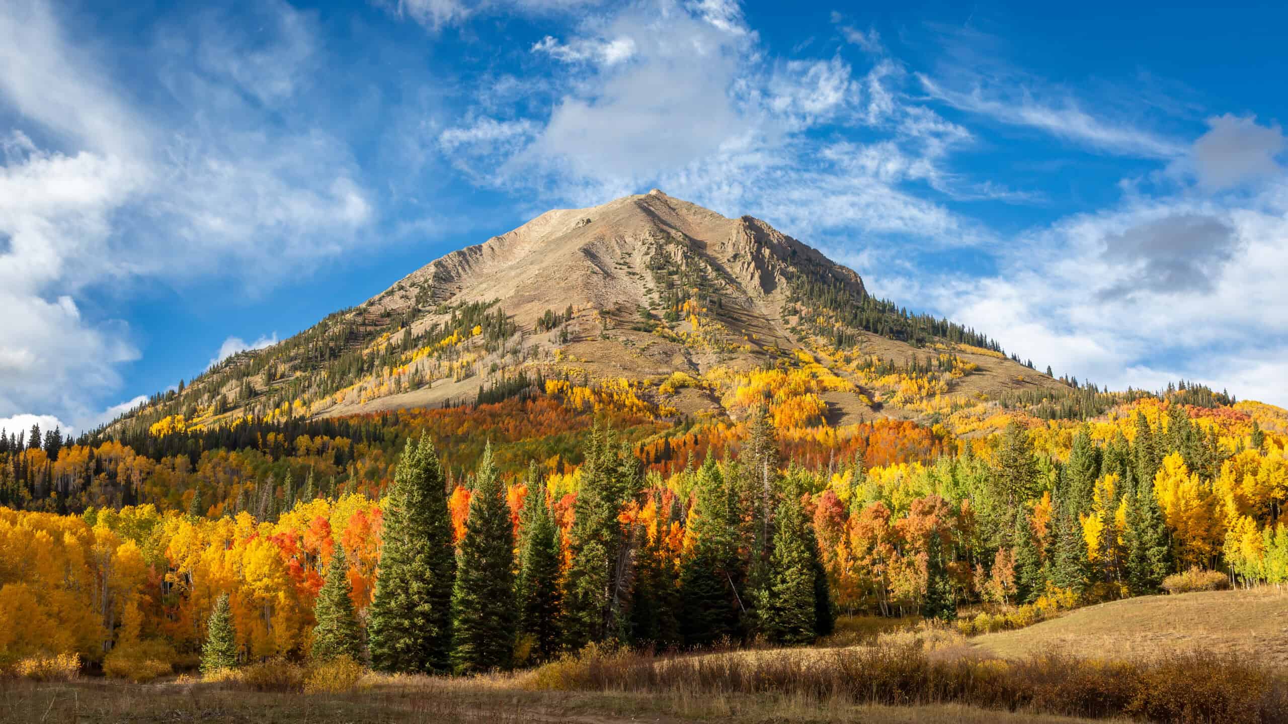 Off the grid: Your guide to dispersed camping in Colorado 