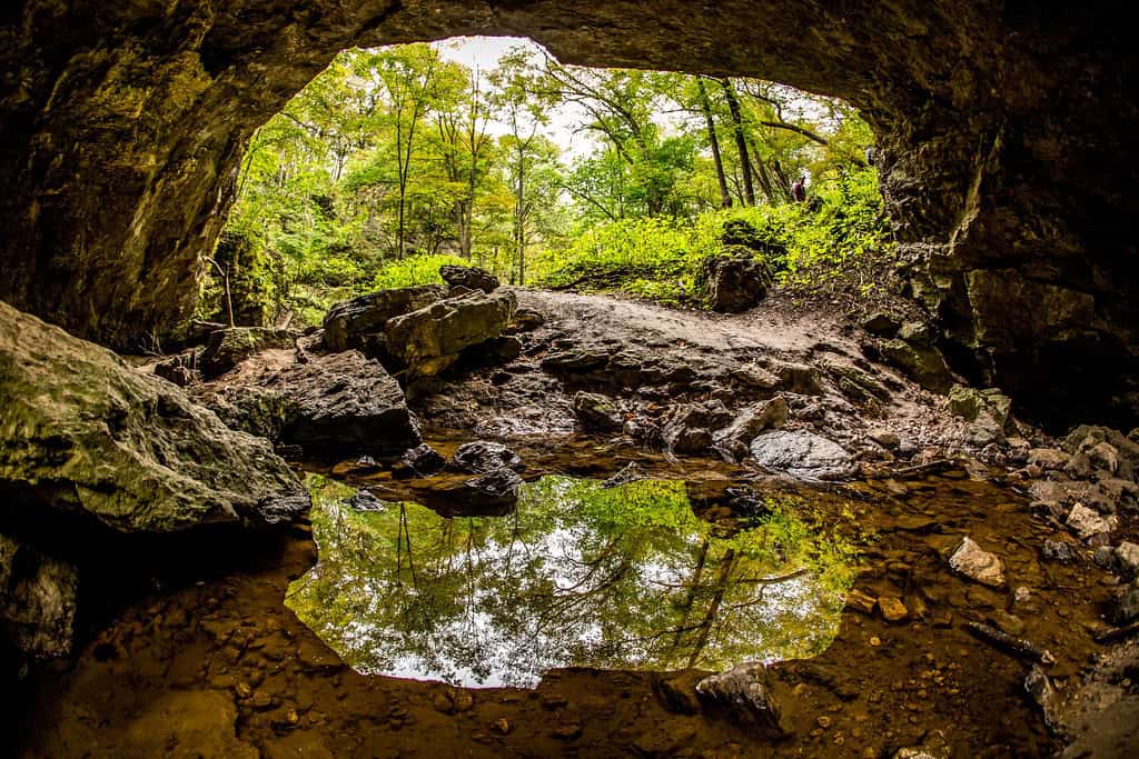10 state parks in Iowa worth adding to your bucket list