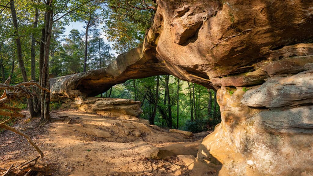 Why Kentucky is one of the best places to go rock hunting