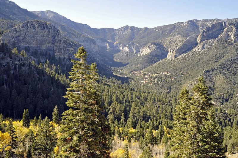 Escape the heat with a weekend trip to Mount Charleston