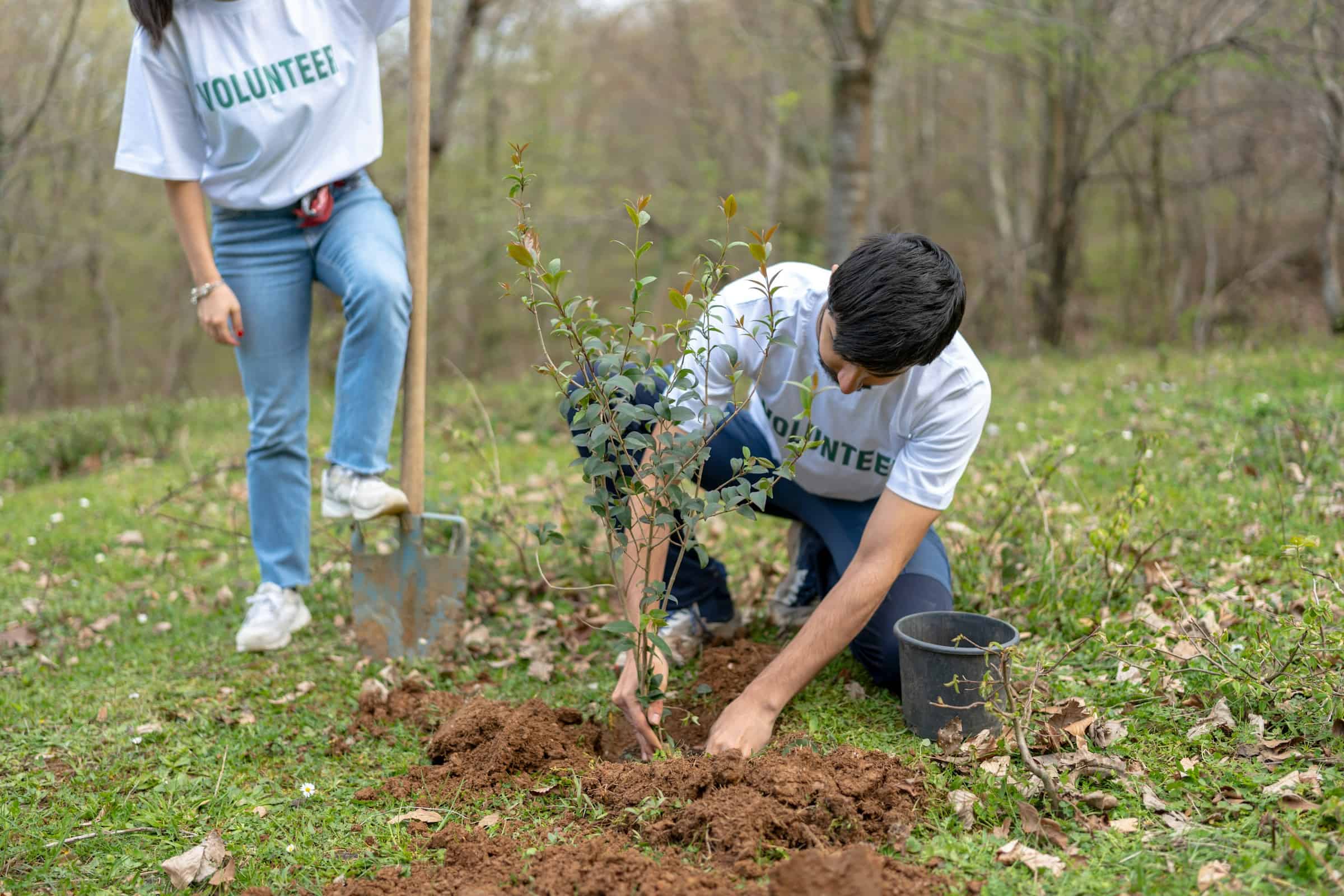 Microvolunteering: What it is & how to do it in Arizona