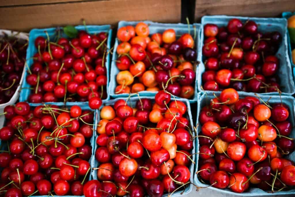 Where to find fresh produce this summer: 10 top NH farm stands