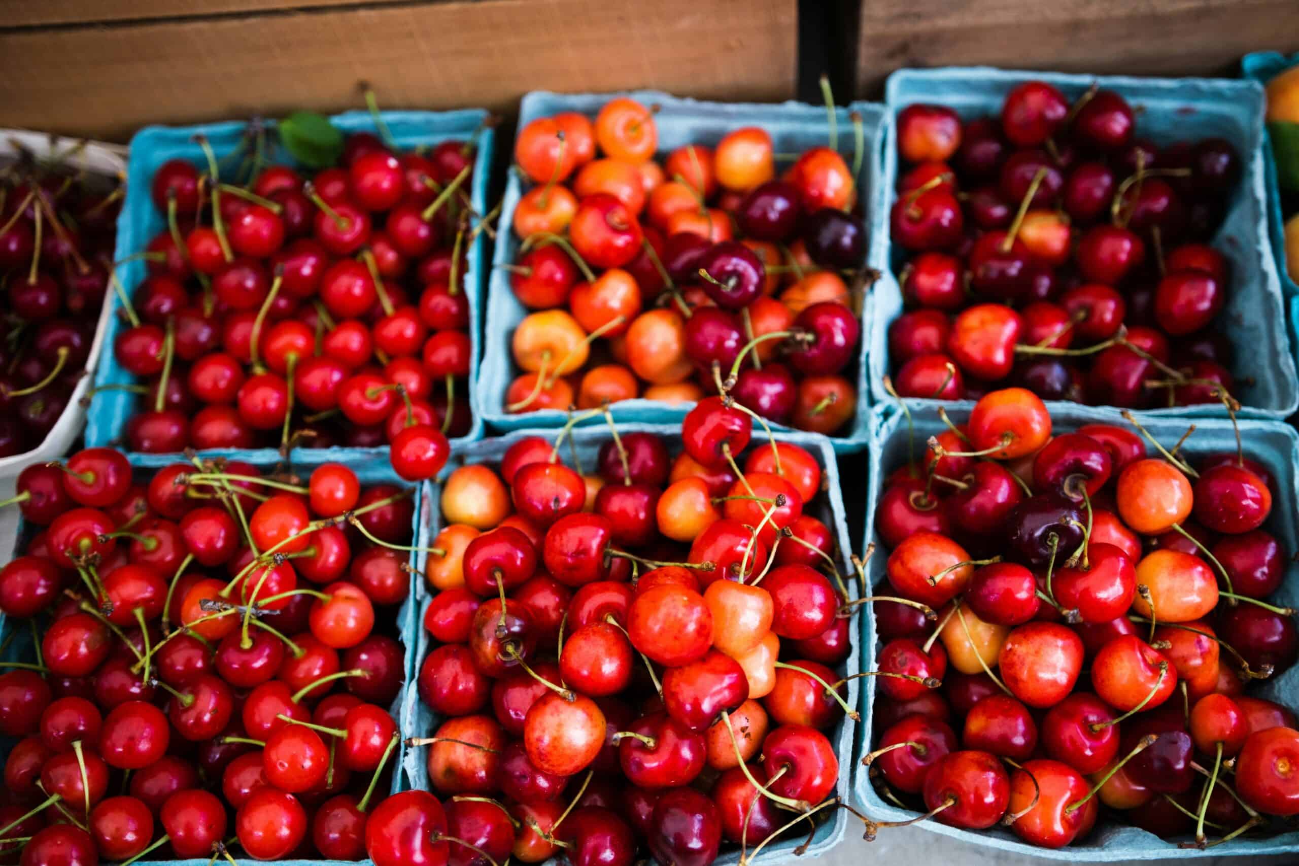 Where to find fresh produce this summer: 10 top NH farm stands