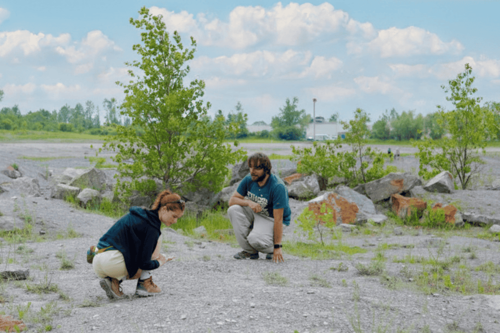 Where to go rock hunting in New York, from Herkimer diamonds to hidden fossils