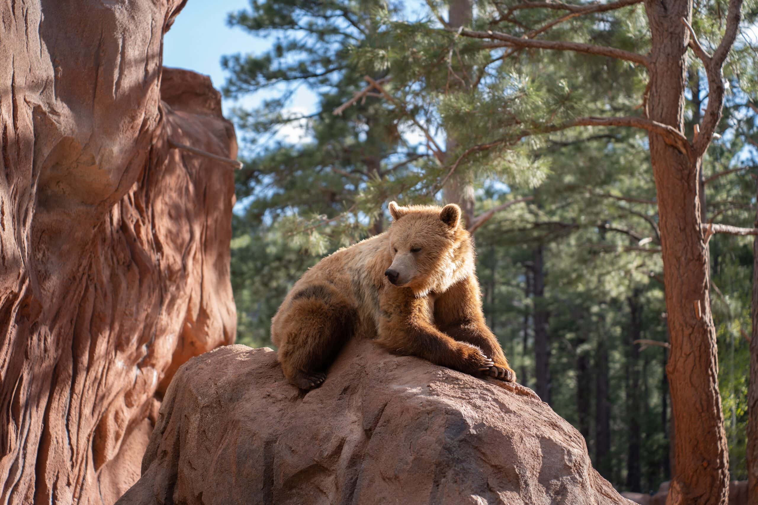 13 Arizona day trips to squeeze in before school starts